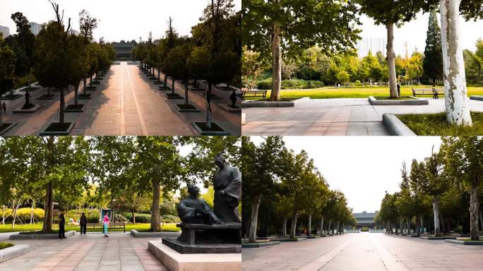 沧州名人植物园调色