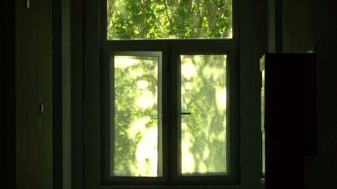 窗外风景绿色树影摇曳