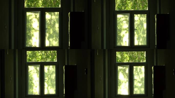 窗外风景绿色树影摇曳