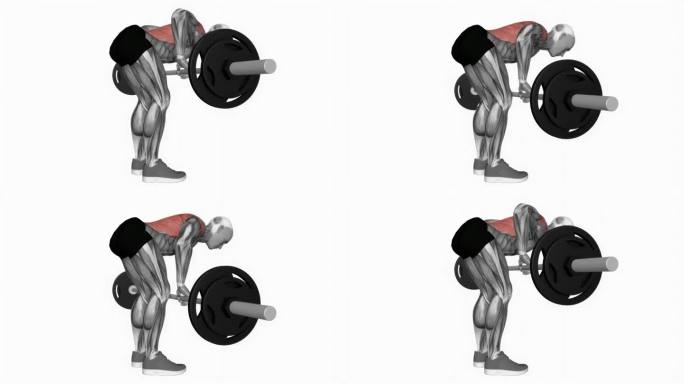 杠铃推弯排健身运动锻炼动画男性肌肉突出演示4K分辨率60 fps