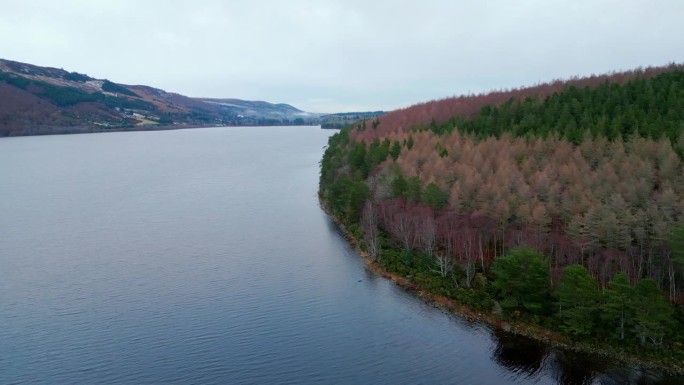 大湖岸边的森林鸟瞰图。冬天著名的尼斯湖。景观。英国苏格兰