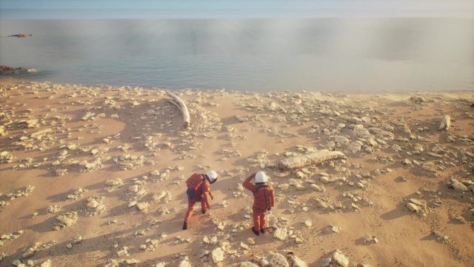 在一个陌生的星球上，大胆的太空旅行者探索着一个不寻常的景观，散发着超凡脱俗的光彩。这个外星人的设定是