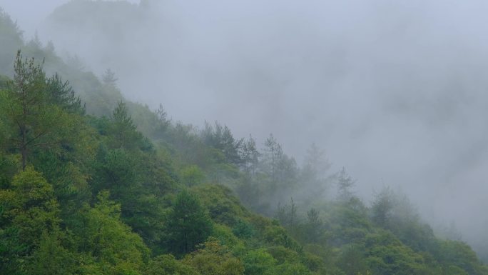 初秋雨中山脉云雾缭绕的绝美自然风光