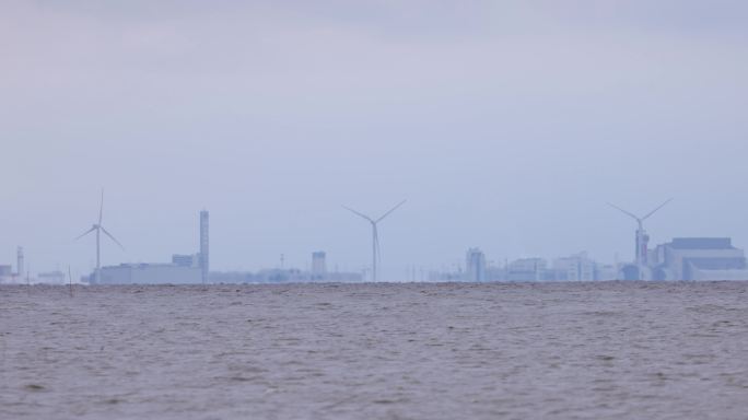 嘉绍大桥海浪 海鸟素材