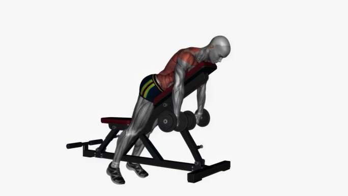 俯卧卧排哑铃旋前握健身运动锻炼动画男性肌肉突出演示4K分辨率60 fps