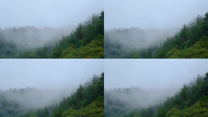 初秋雨中山脉云雾缭绕的绝美自然风光