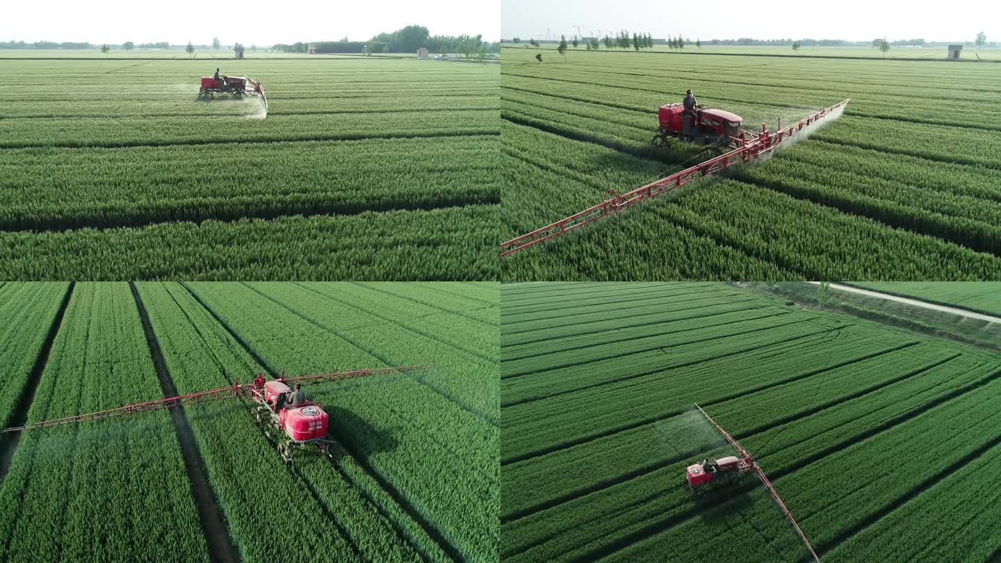 小麦喷洒作业  小麦丰收   合作社