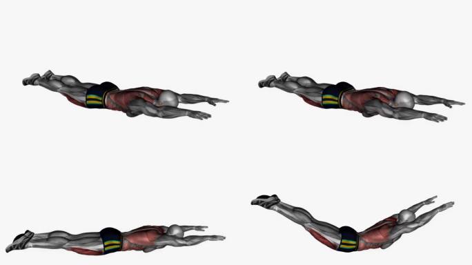 超人举行健身运动锻炼动画男性肌肉突出演示4K分辨率60 fps