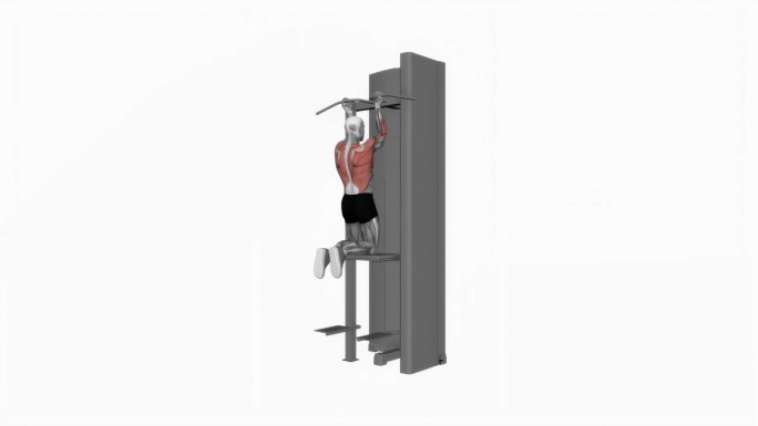 辅助近握力下的下下巴健身运动锻炼动画男性肌肉突出演示4K分辨率60 fps