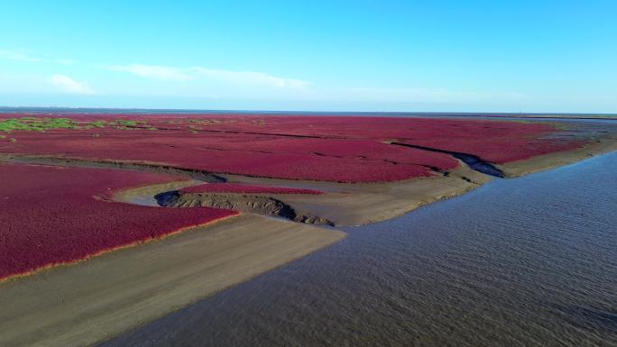 盘锦红海滩