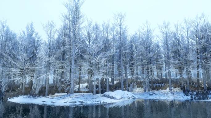 长幅冬天河边树林