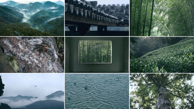 大自然雨景森林树林山水风景