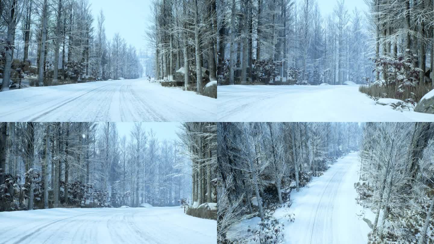 冬天道路树林