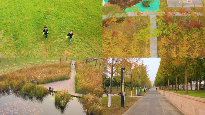 航拍秋景 秋天公园 秋季户外 秋游
