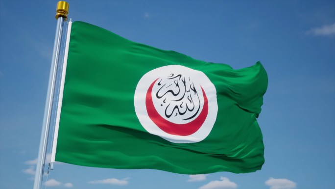 伊斯兰会议联盟旗帜