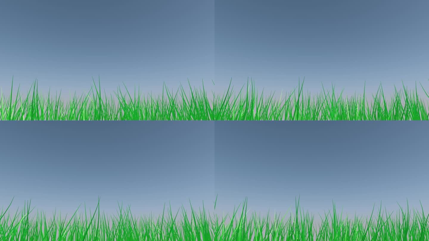 风中摇摆的青草，三维动态，三D渲染