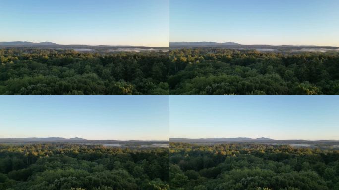 山景与薄雾在一个清晰的早晨日出(黎明在卡茨基尔山，哈德逊河谷，纽约州北部，森林景观)转向