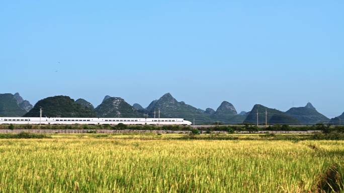 秋天阳光下桂林金色稻田旁铁路上行驶的列车