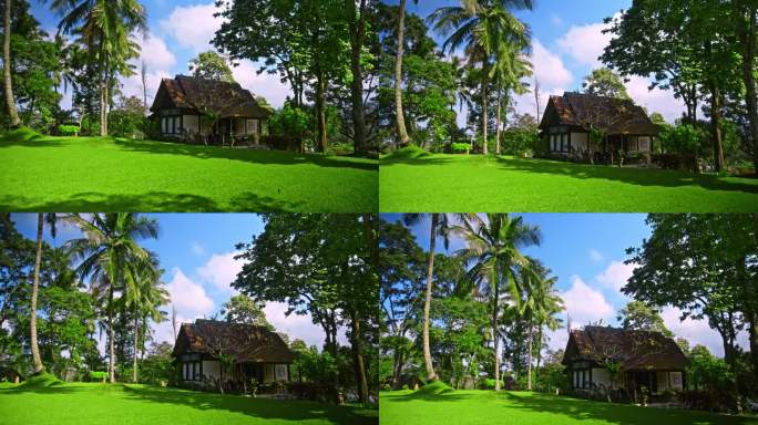 房子坐落在热带的绿色林间空地上，周围是热带树木