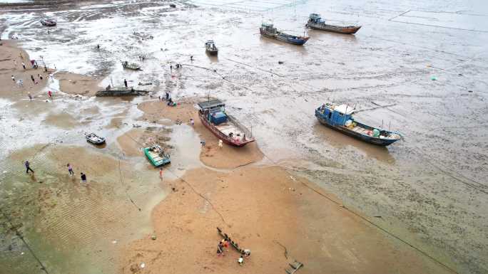 海岸线湿地滩涂捕鱼赶海 福建宁德霞浦海岸