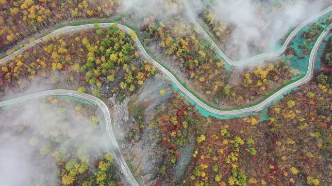 4K航拍云雾缭绕的盘山路秋景