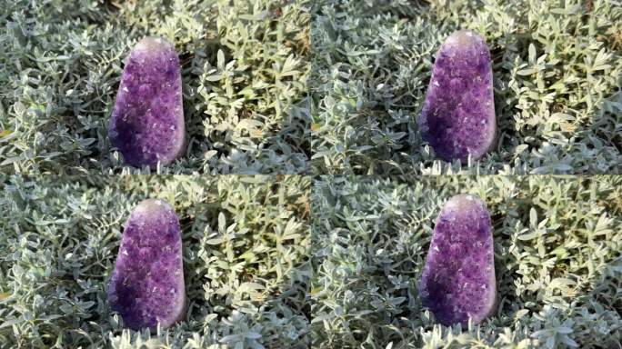 紫水晶室外晶洞