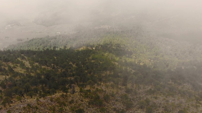 雾蒙蒙的墨西哥景观与鸟瞰埃尔阿尤斯科山顶通过低洼的雾