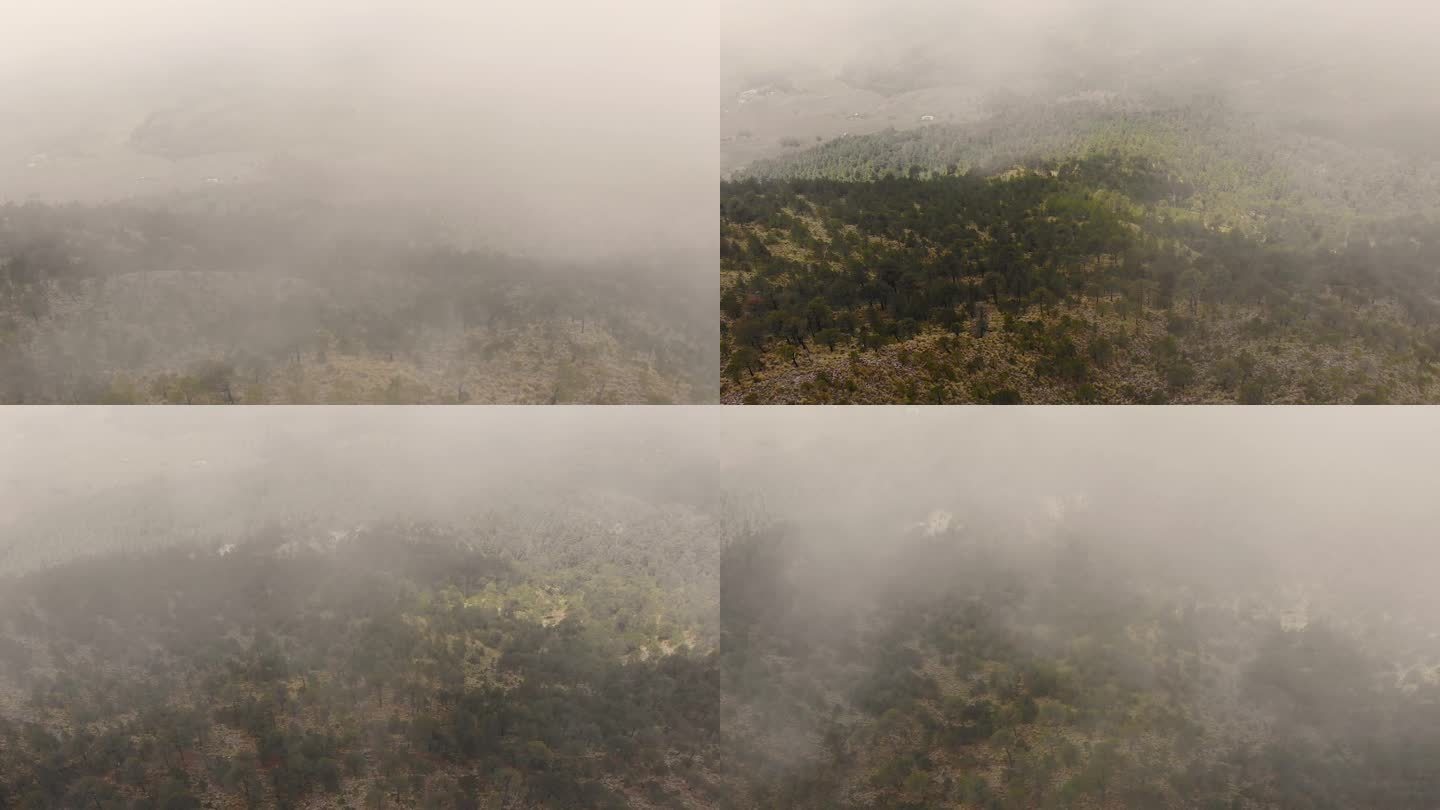 雾蒙蒙的墨西哥景观与鸟瞰埃尔阿尤斯科山顶通过低洼的雾