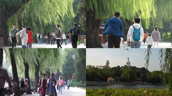 公园秋天北京北海公园游人游客拍照美女夕阳