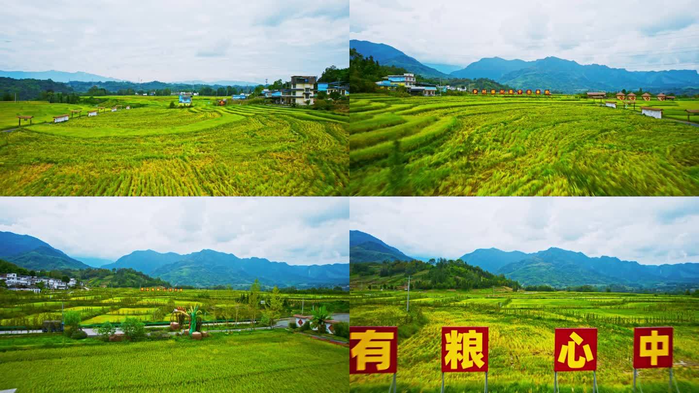 上坝村农业示范区天全县