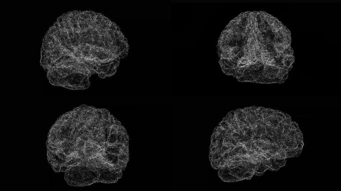 3D大脑在黑色bg上旋转。物体溶解了闪烁的微粒。科学的医学理念。用于标题，文本，演示。3d动画60 