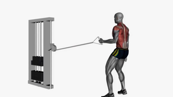 单臂电缆左排健身锻炼锻炼动画男性肌肉突出演示4K分辨率60 fps