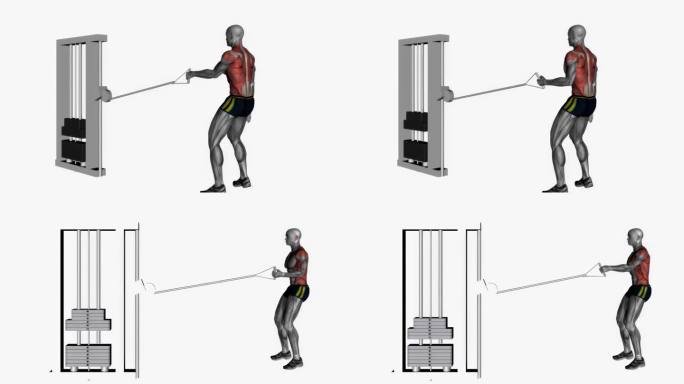 单臂电缆左排健身锻炼锻炼动画男性肌肉突出演示4K分辨率60 fps