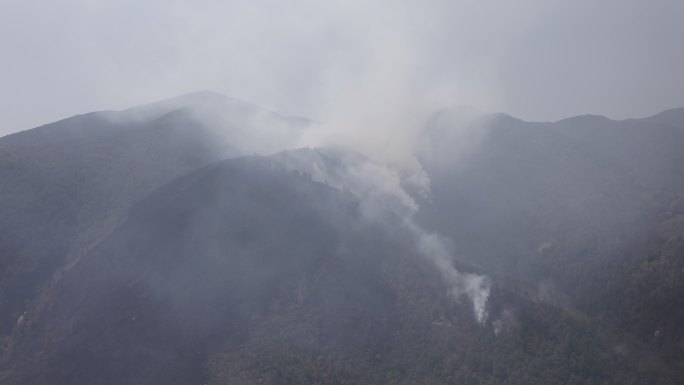 森林火灾山火_0145