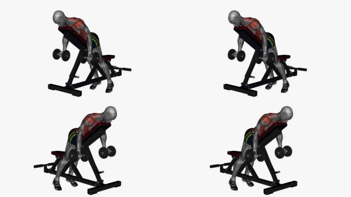 俯卧卧排哑铃旋握健身运动锻炼动画男性肌肉突出演示4K分辨率60 fps