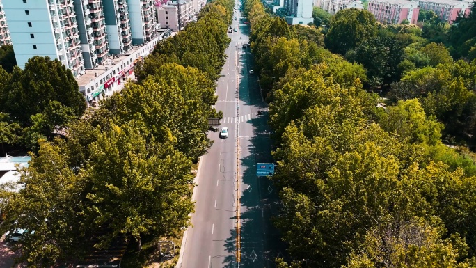 沧州道路交通调色4K60高帧率