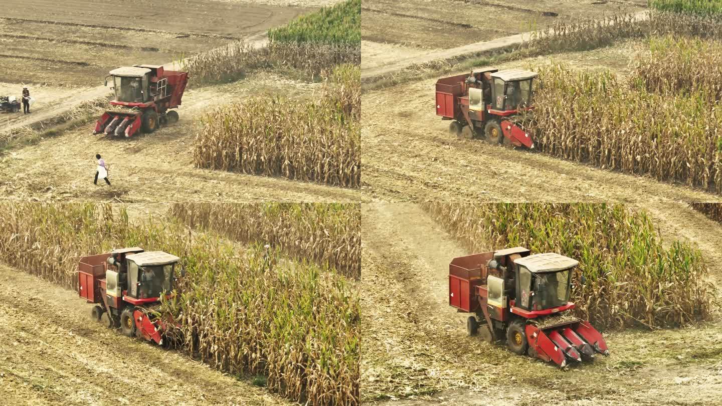 航拍秋天收割机收割玉米
