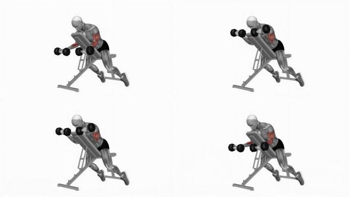 哑铃俯卧倾斜弯曲健身运动锻炼动画男性肌肉突出演示4K分辨率60 fps