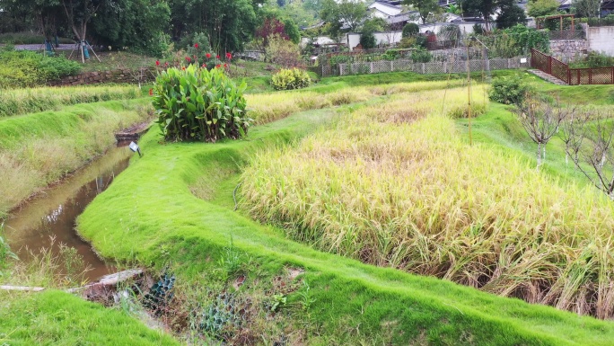 航拍重庆北碚两江水土蓝城两江田园牧歌风光