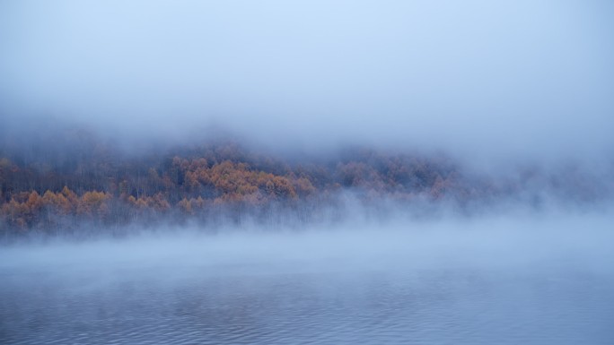 深秋的阿尔山晨雾