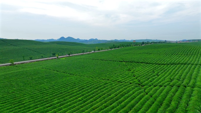 贵州风光｜安顺十二茅坡 宣传片