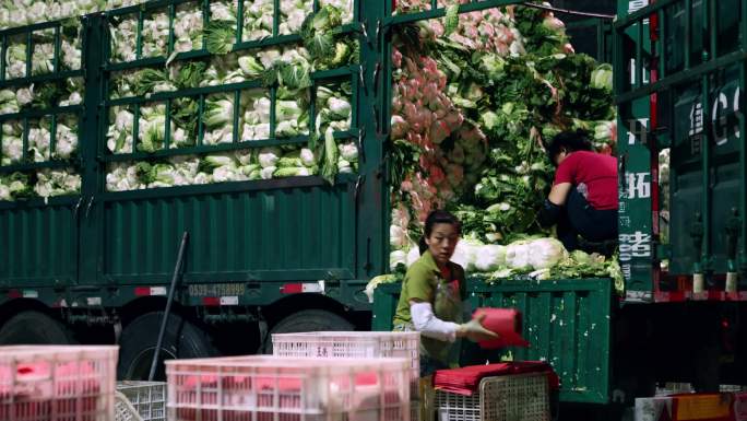 寿光蔬菜物流园批发市场打包蔬菜