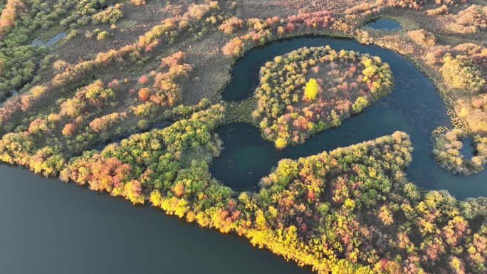 额尔古纳湿地秋景色彩斑斓