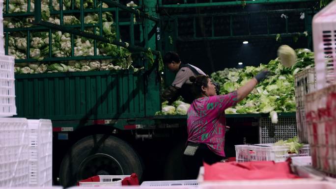 寿光蔬菜物流园菜贩工作