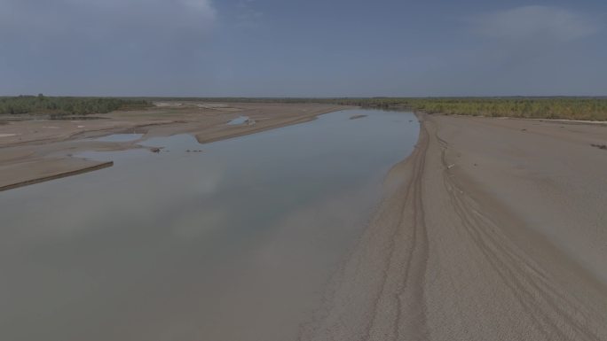 新疆阿克苏沙雅县 塔里木河 4K航拍