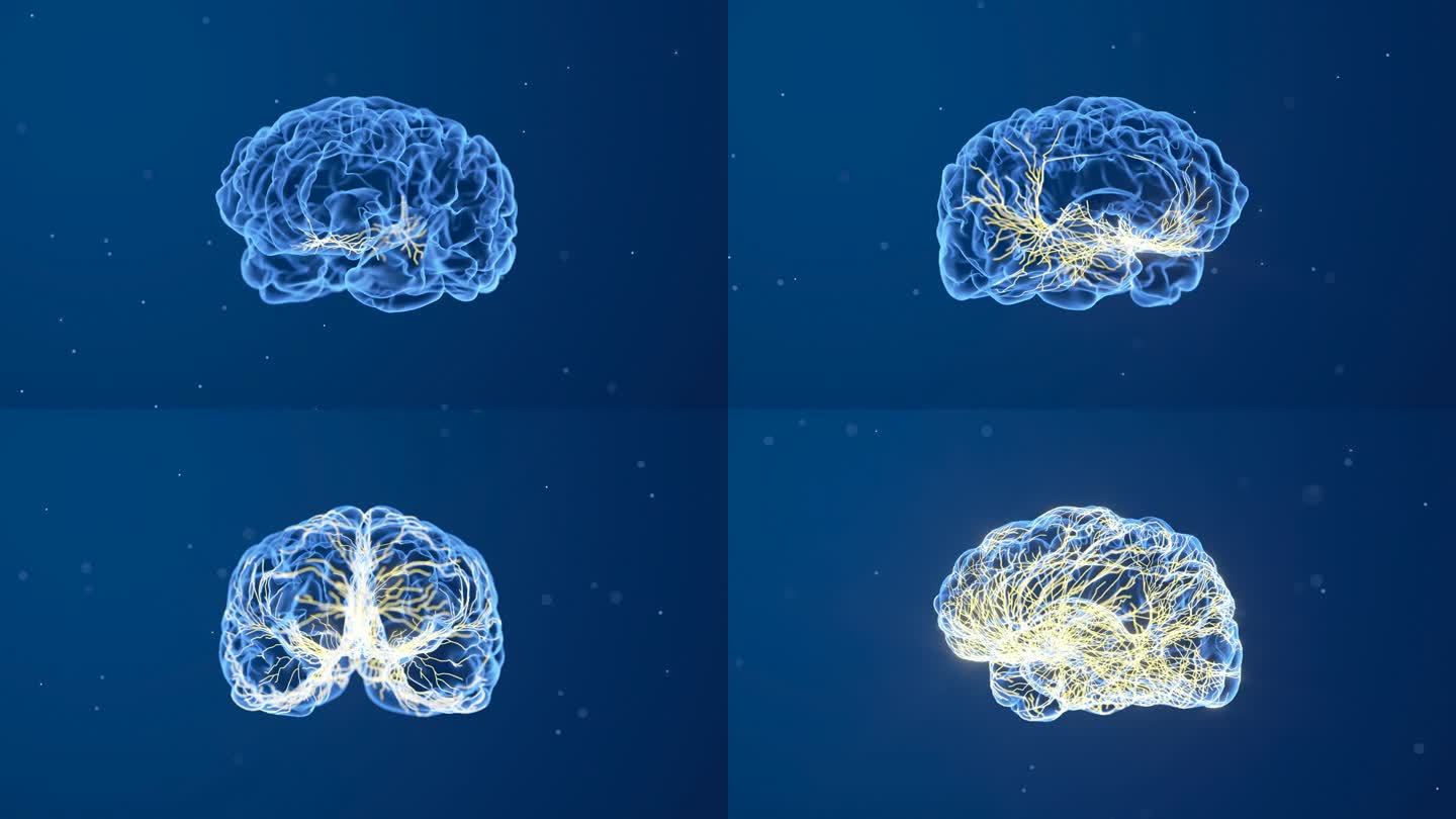 AI大脑神经生长金色