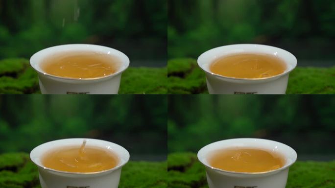 生态 普洱生茶滴汤