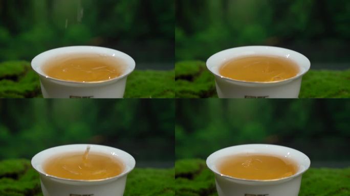 生态 普洱生茶滴汤
