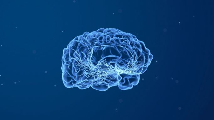 AI大脑神经生长蓝色