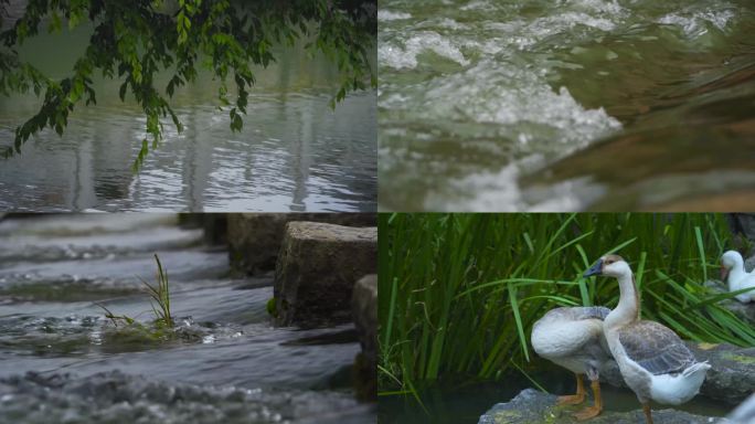 小桥流水